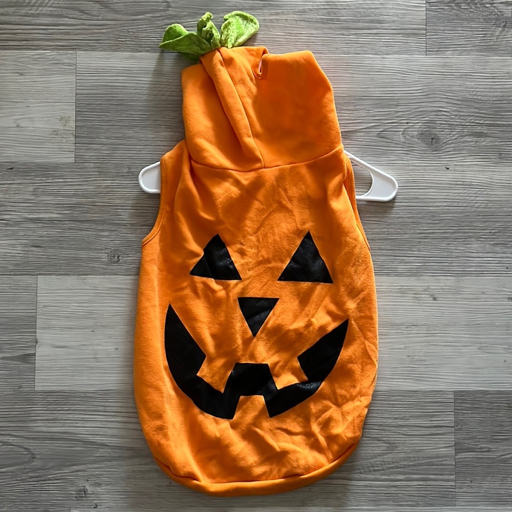 Halloween Pumpkin Dog Costume (Size L)